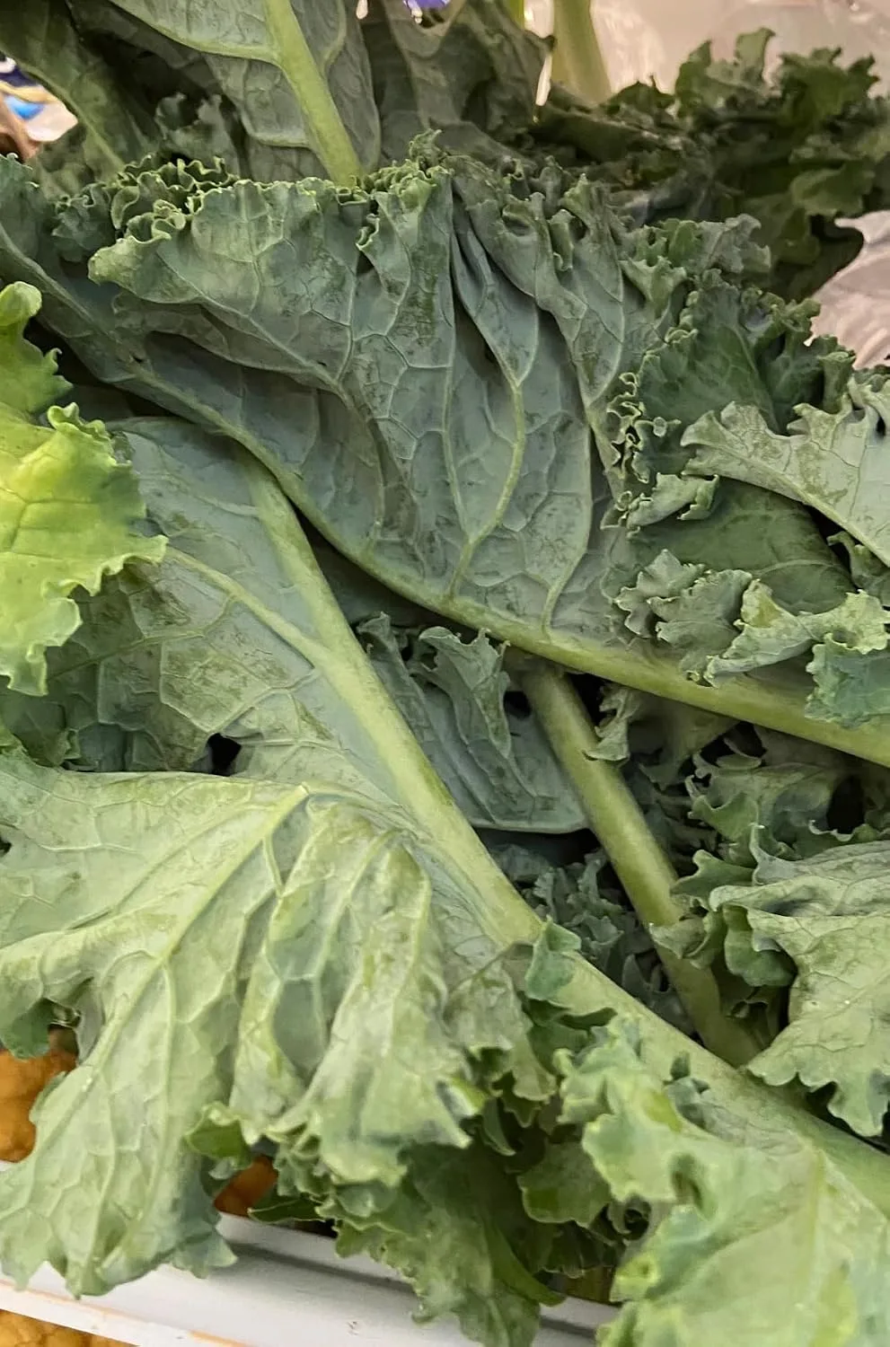 Customer review photo for Kale Dip: The Hot Baked Dip That Makes Kale Actually Irresistible