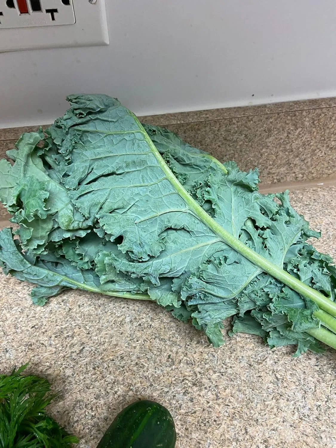 Customer photo of baked kale dip in serving bowl with crispy top