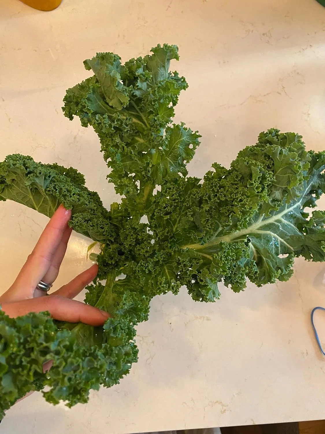 Customer photo of baked kale dip with melted cheese and breadcrumbs in serving dish