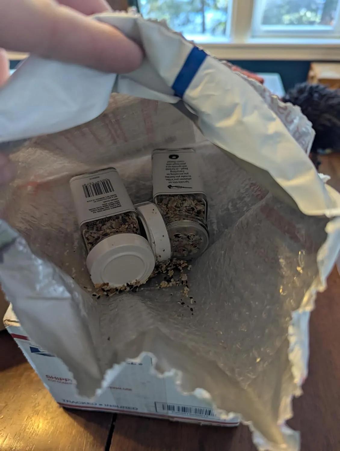 Customer photo of everything bagel dip served with crackers and bagel chips