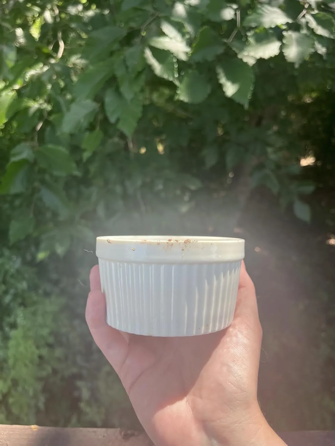 Customer review photo for Vidalia Onion Dip: The Baked Southern Classic That Disappears Before the Main Course